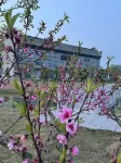 Hejiachong Yonghe Industry Business Center Hotels near Dongzhai Crested Ibis Home Bird Photography Base