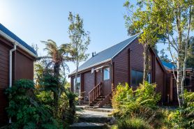 Fox Glacier Lodge