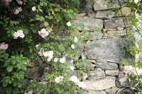 Tacheng Yixiangli Homestay - Mountain view