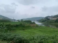 Xingxin Business Hotel Hotels in Tiandong