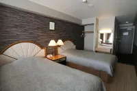 Tominoko Hotel Hotel di Fujikawaguchiko