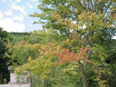 ホテル周辺 旅籠彩くらの写真