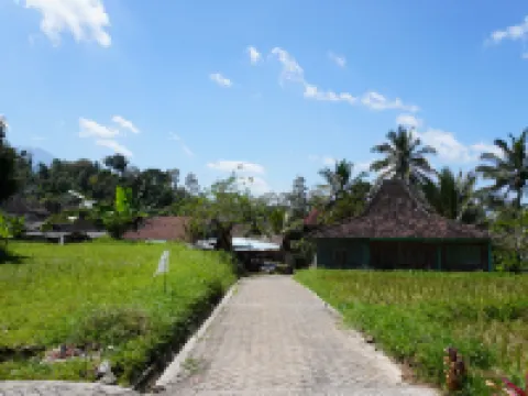 Purwa Ijen Hotels in Licin