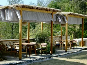 floral hotel Yichun and Jinyunshang mountain spring Jingshu Homestay
