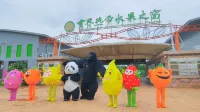 果緣星宿（海南省盛大世界熱帶水果之窗共享農園）