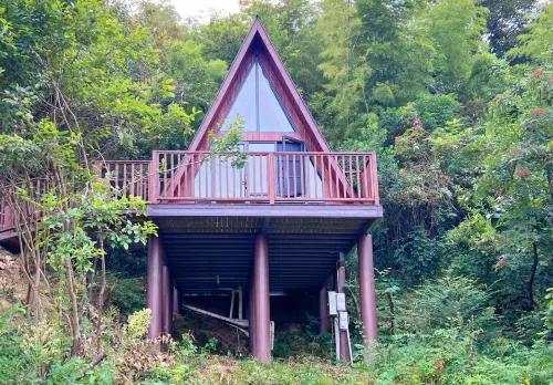 Hongxi CAMP