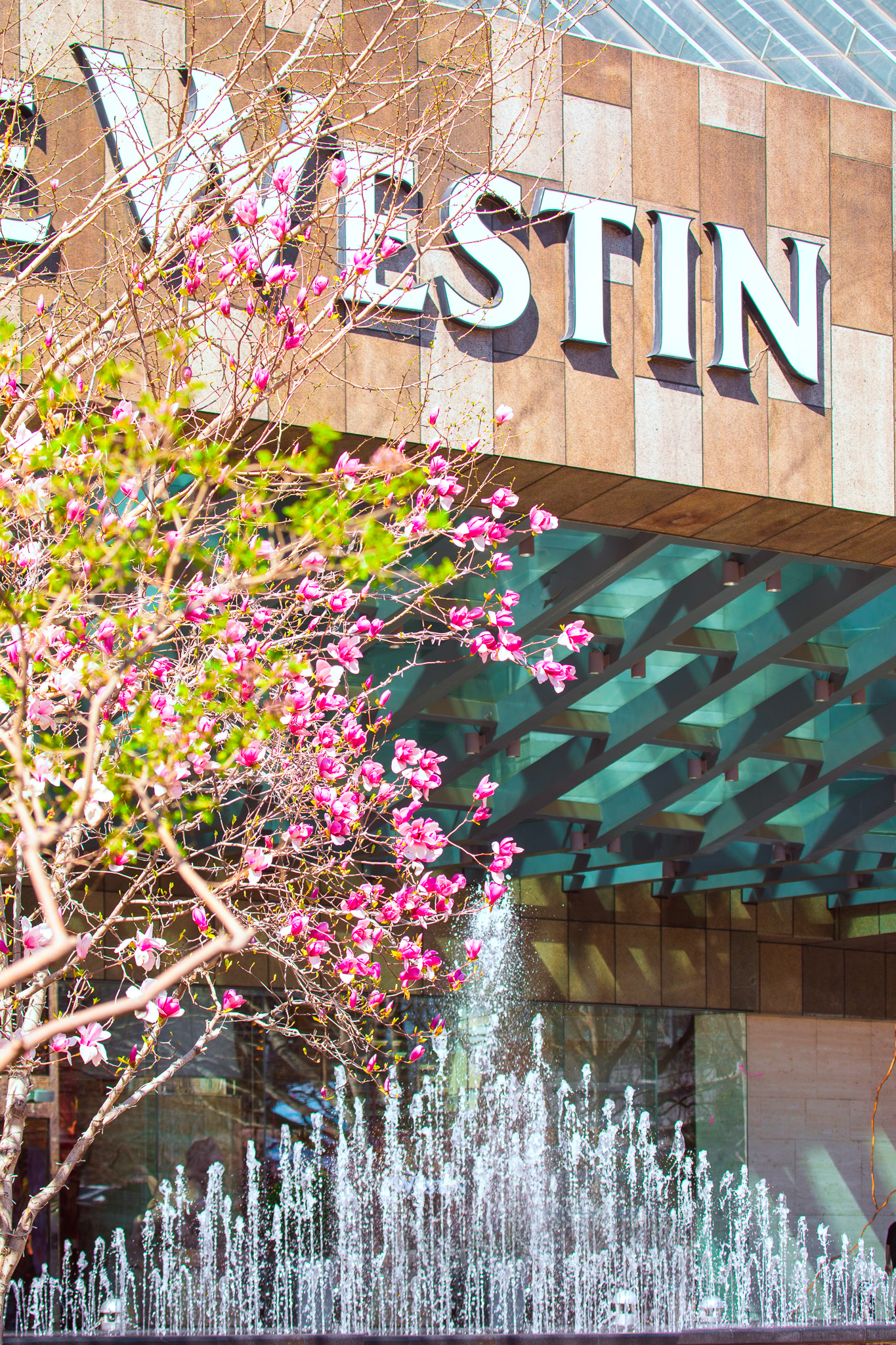 The Westin Beijing ChaoyangOver view