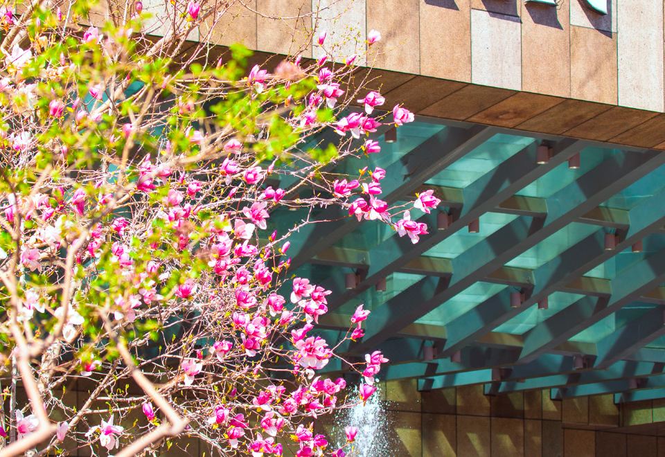 더 웨스틴 베이징 차오양의 깔끔한 객실 내부 이미지