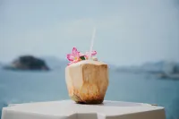 阿卡普爾科嘉年華美式別墅酒店 - 酒吧