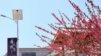 There is wind blowing from the homestay Hotels in Lingchuan