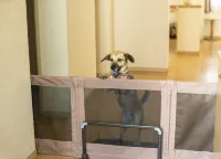 Seagaia Forest Cottage(Old:Cottage HIMUKA) Hotels in 