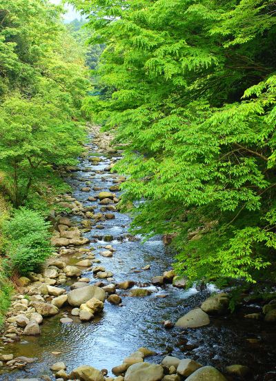 施設外観 白壁荘の写真
