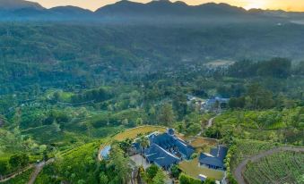 Uga Halloowella - Hatton - All Inclusive