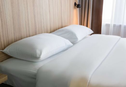 파크 인 바이 래디슨 멜버른 칼튼