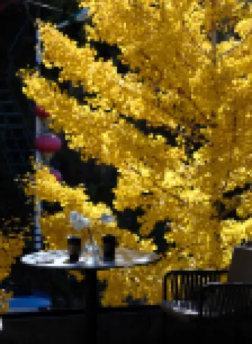 Yueli Great Wall View Homestay