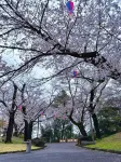 Ikebukuro Free Pickup#Ueno 14 mins Nippori 10 mins Entire property Up to 7 guests B