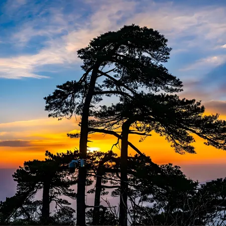 Shanshui Diary · Nature Sunshine Ziran | Mountain Boutique Stay (Sanqingshan Gangshou Cableway)