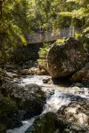 Narrows Escape Rainforest Retreat - Romantic