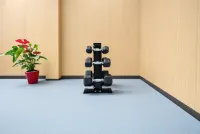Jinghe Huayun Ruihe Hotel - Gym
