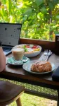 Tribal Coworking Hostel