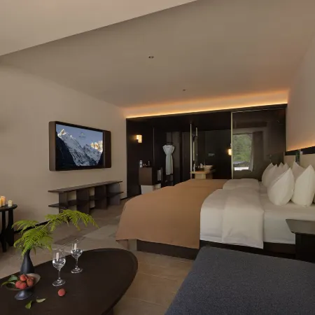 Manshan MANSHAN · Golden Snow Bonfire Private Hot Spring Manor（Yubeng）