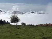 Zhagana Gangdis Homestay - Mountain view