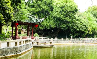 There is a small pond with water and trees in the middle, located next to an oriental-style area at Grand Millennium Shanghai HongQiao