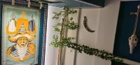 海拉爾初見民宿