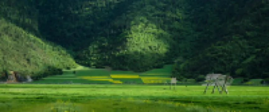 Shangri-La Linden Centre Naada Courtyard