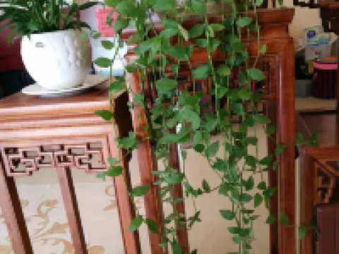 Jiahao Hotel Hotels in Luquan