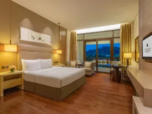 武夷山大紅袍山荘(観光地南入口)