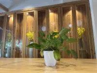 Yangshuo M Suyuan Hotel (Wubu Town Shop)