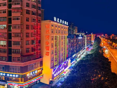 Platinum Business Hotel Отели в г. Пинцзян