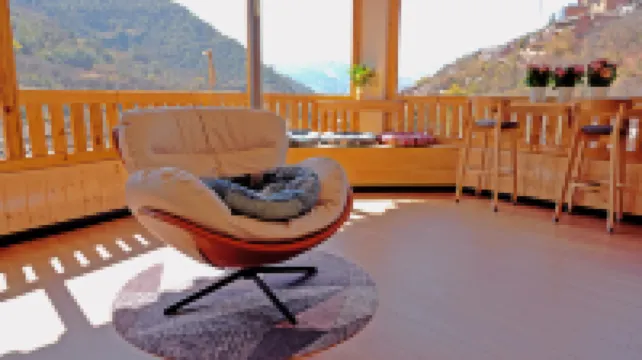 Ancient Road Stars Xiaozhu