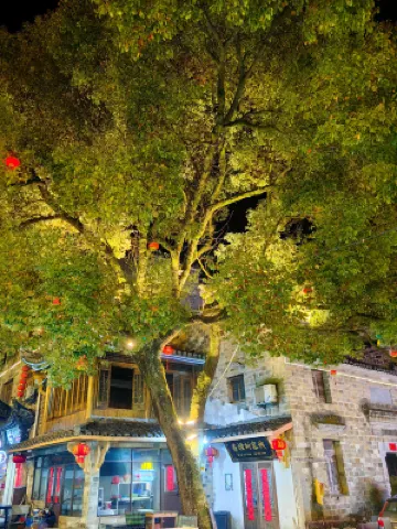 Zhaji Xiangzhashu Inn