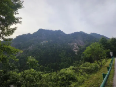 Chen Xuan Yi Zhai (Jiu Hua Mountain Tourist Service Center Store)
