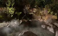 鶴巻温泉 元湯 陣屋 - 温泉