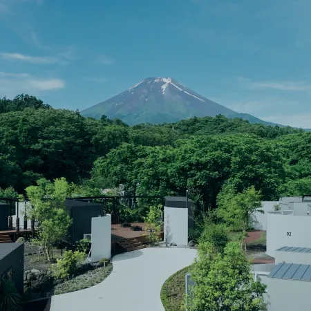 BLANC FUJI
