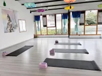 Dali Lily International Youth Hostel - gimnasio