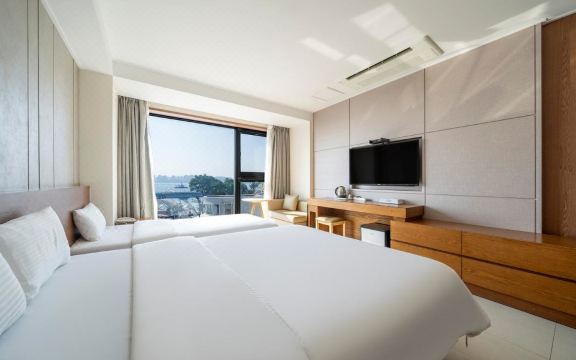 Wolmido Premiers Hotel Over view