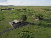 And sheep Hotels in Xinghe