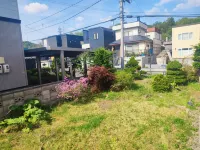 Moio Homestay
