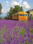 Auroral Voyage lnn - Romantische
