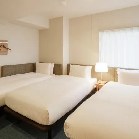 HOTEL AMANEK Asakusa Sakurabashi Hotels in Tokyo
