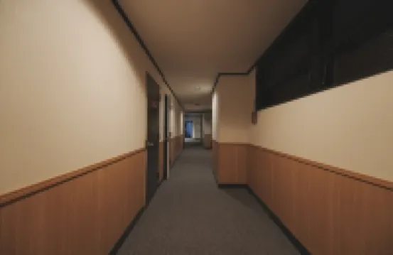 ลูมิ โรงแรม โตเกียว ชินโคอิวะ