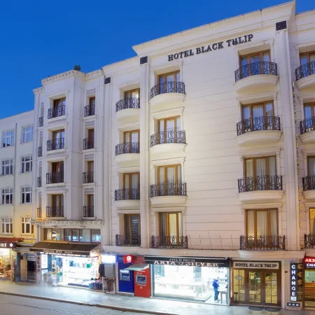 Hotel Black Tulip