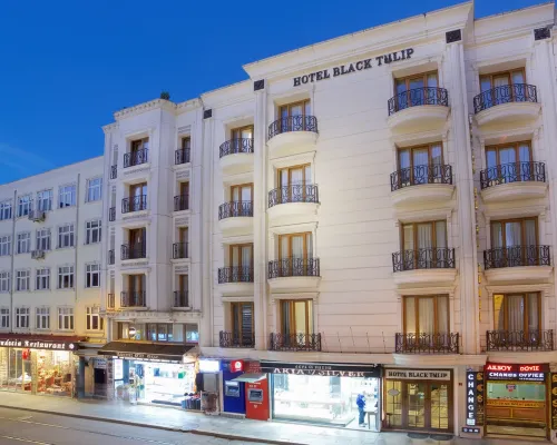 黑色鬱金香酒店(Hotel Black Tulip) 鄰近托普卡匹皇宮（Topkapi Palace）的酒店