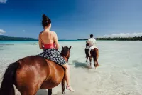 Ratua Private Island Resort - Airport Shuttle