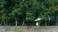 篁溪山舍·山川竹海·野奢智能·民宿（皖南川藏線月亮灣風景區店） - Mountain view