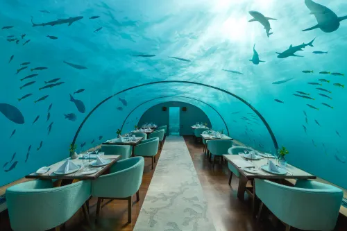 Conrad Maldives Rangali Island - piscine